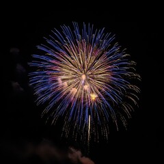 A spectacular, massive burst of colorful pyrotechnic light exploding high in the dark night sky during a celebration event, vivid, joyful, dazzling