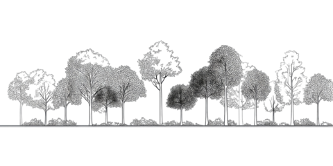 A grayscale illustration depicts a row of various trees against a solid black background
