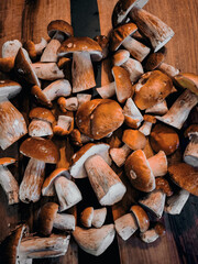 Fresh harvest of mushrooms, fir cones and moss . High quality photo