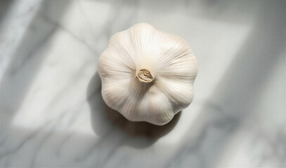 A bunch of fresh organic white garlic bulbs and raw cloves isolated on a black background provides an aromatic seasoning ingredient for healthy cooking