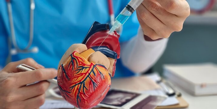 Doctor holding injection syringe and heart in hands. Heart attack, disease or vaccination concept