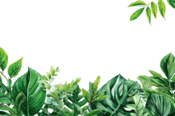 Watercolor depiction of various green leaves forming a border on a transparent background