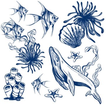 Hand Drawn Marine Life Line Art for Seamless Pattern and Tableware Design