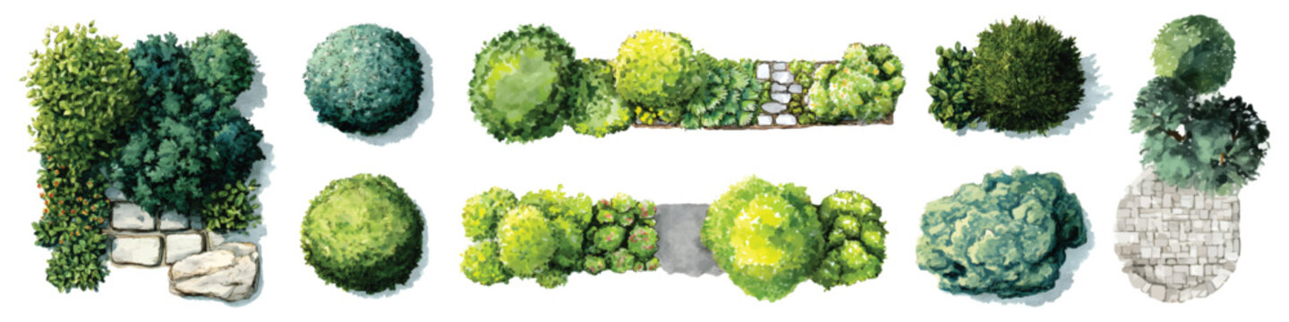 Watercolor landscape architecture elements set, top view trees, bushes, shrub, and garden paths. Site floor plans isolated on transparent background