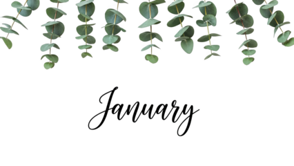 January Eucalyptus Branches On Black Background