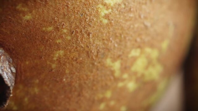 Pear extreme close up slowly rotating and gentle stop stock footage
