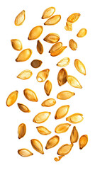 Golden seeds floating on transparent background