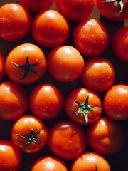 신선한 유기농 채소 빨간 토마토