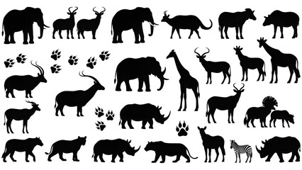 Obraz premium Siluetas de animales africanos con huellas. León vectorial, elefante, rinoceronte y guepardo, jirafa safari, cebra, hipopótamo, búfalo y antílope con huellas de patas y pezuñas. Rastros aislados de