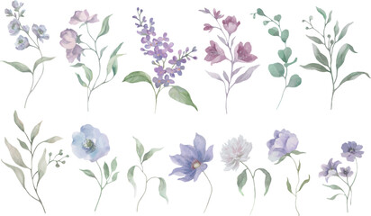 
Delicate watercolor set with spring flowers and botanical elements in soft pastel tones. hand drawn illustration. Vector EPS..