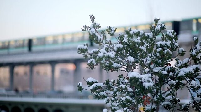 Snowy winter scene in Paris with a bush covered in fresh snow in the foreground and a metro train crossing the Bir-Hakeim bridge