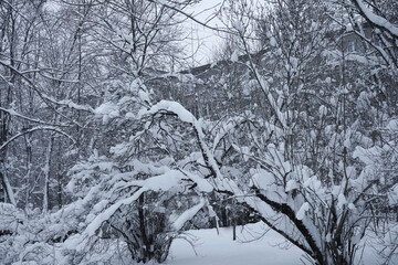 There is a lot of snow on the trees, snowdrifts on the street, цinter snowy landscape.