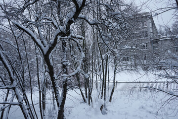 There is a lot of snow on the trees, snowdrifts on the street, цinter snowy landscape.