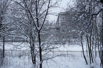 There is a lot of snow on the trees, snowdrifts on the street, цinter snowy landscape.