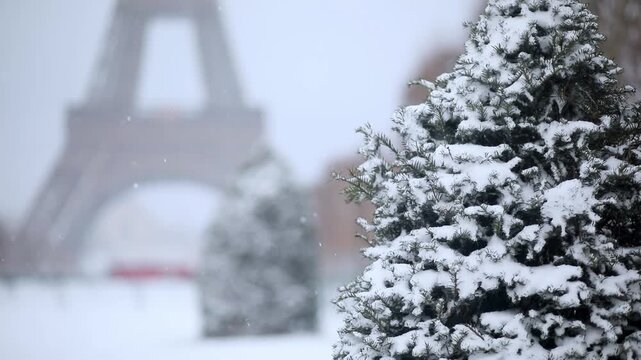 Close-up of a snow-covered evergreen tree with the Eiffel Tower softly blurred in the background. Captured in Paris during winter snowfall, evoking a festive and serene holiday mood