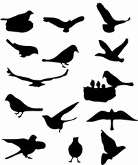 Collection of various bird silhouettes in different poses and flight patterns © Tarikul Islam