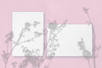 Natural lighting casts shadows from wildflowers on horizontal and vertical sheets of white textured paper against a pink wall background. Mockup