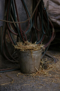 Rustic metal bucket filled with dry straw