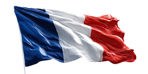 A vibrant tricolor flag waving in the wind with flowing fabric