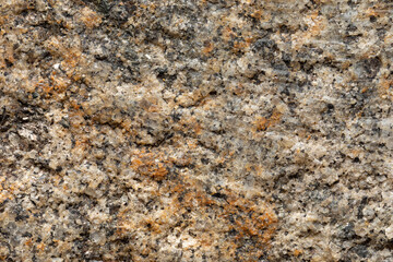Close-up of the rough granite surface of an old stone quern.