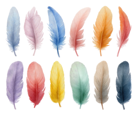 Collection of twelve fluffy feathers, various colors, isolated on a solid black background