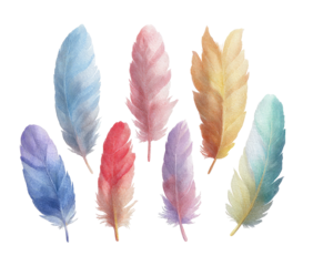 Watercolor illustration of seven colorful, fluffy feathers arranged artfully on a black background