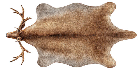 Fototapeta premium Overhead view of a reindeer hide rug with head and antlers against a stark black background