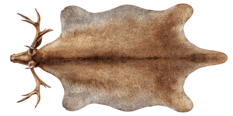 Overhead view of a reindeer hide rug with head and antlers against a stark black background