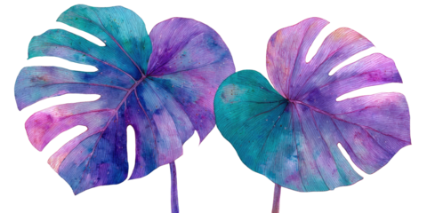 Vibrant watercolor depiction of two oversized Monstera leaves against a black background