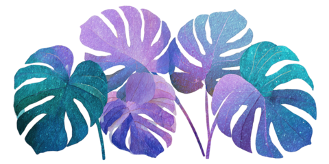 Artistic depiction of oversized monstera leaves with a gradient of colors on a black background