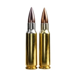 Close-up studio shot of two rifle bullets against a stark black background
