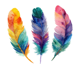 Three vibrant, hand-painted feathers in a watercolor style against a stark black background