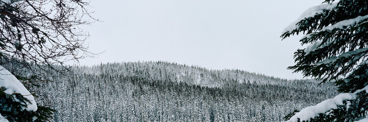 Oksbakklia Hill, part of the Toten&aring;sen Hills, Norway, January 2026.