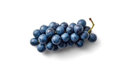Fototapeta premium Close-up of moist blue grapes on a plain background, natural hydration, World Water Day