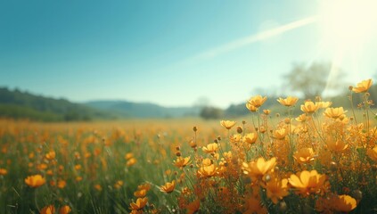 Colorful flower arrangement on a lush green backdrop, suitable for botanical editorial headers