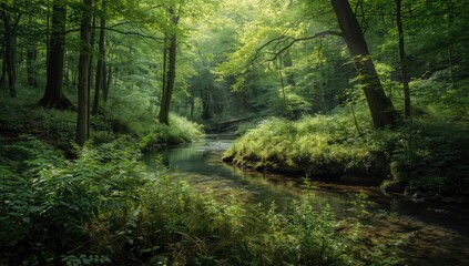Obraz premium Deciduous forest with a gentle stream and sunbeams, landscape background for environmental awareness, Earth Day