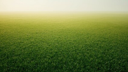 Artificial green grass turf surface serving as a backdrop for garden planning, Earth Day