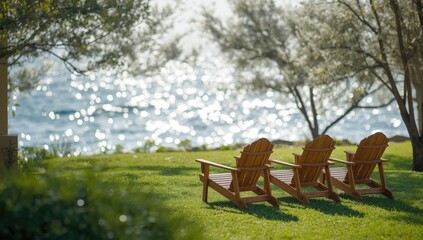 Garden with four unoccupied wooden chairs emphasizing leisure space