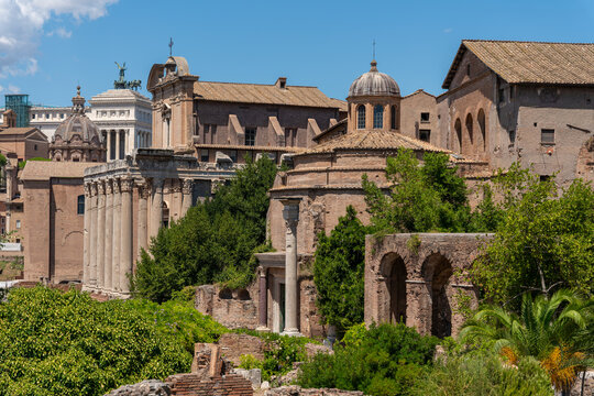 Italy - Rome - Roman Forum - Panoramic view with ancient columns, temples, vegetation, and the historic cityscape archaeological site.