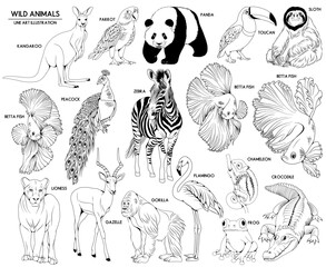 Obraz premium Set of vector hand drawn wild and exotic animals illustrations, line drawing animal collection 