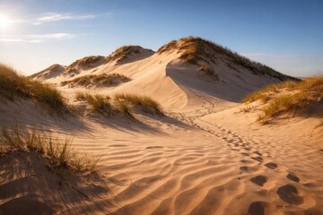 Bright sunny day showing sandy hills