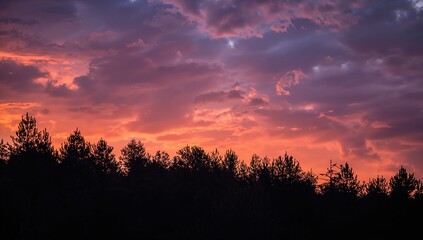 Sunset over a pine forest with cloud formations, ideal for landscape or environmental layouts