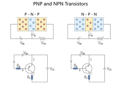 PNP and NPN transistors, showing internal charge flow and schematic symbols used in basic electronic circuits diagram hand drawn schematic raster. Science educational illustration