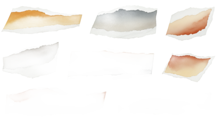 A serene landscape featuring wild grasses swaying gently in the breeze on a sunny day