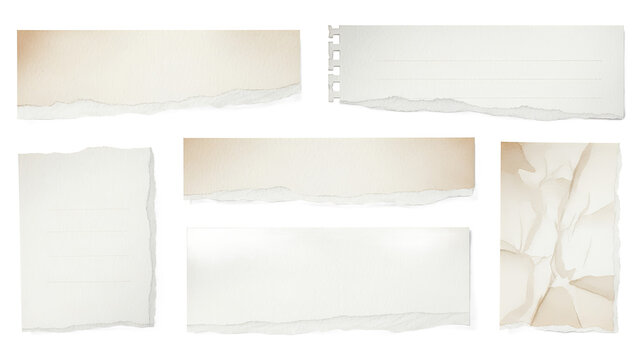 Torn paper textures and fragments displayed on a clean white background