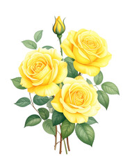 黄色い薔薇の水彩イラスト
