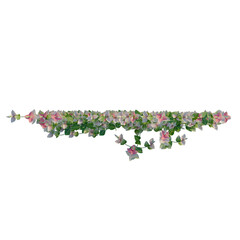 Trachelospermum asiaticum Hatsuyukikazura tree plan, top view, cutout, transparent background, isolate, Delicate pink and green flowering vine branch, botanical detail, closeup, floral pattern © Peter Hai