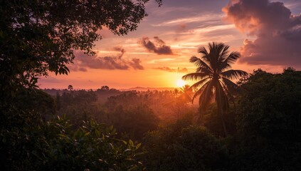 Sunset over dense tropical jungle with rich greenery, suitable for environmental awareness