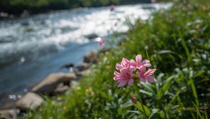 Obraz premium Wildflowers growing along a riverbed offering a colorful scene for nature photography, World Nature Conservation Day