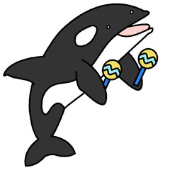 Obraz premium マラカスを持ってジャンプするシャチのコミカルなイラスト